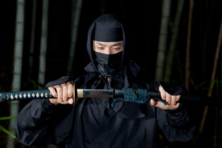 Ninjutsu in Bremen Nord